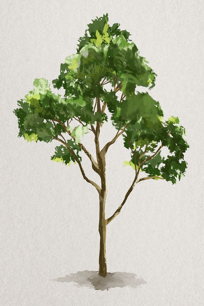 Tree nature painting on paper 