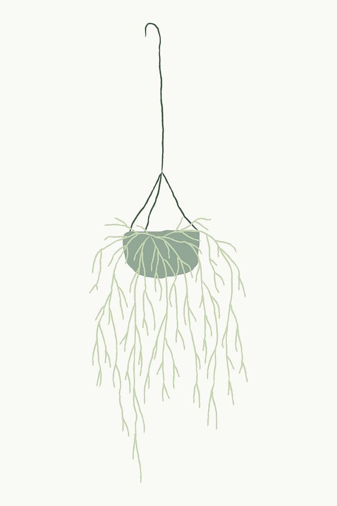 Hanging plant vector mistletoe cactus doodle