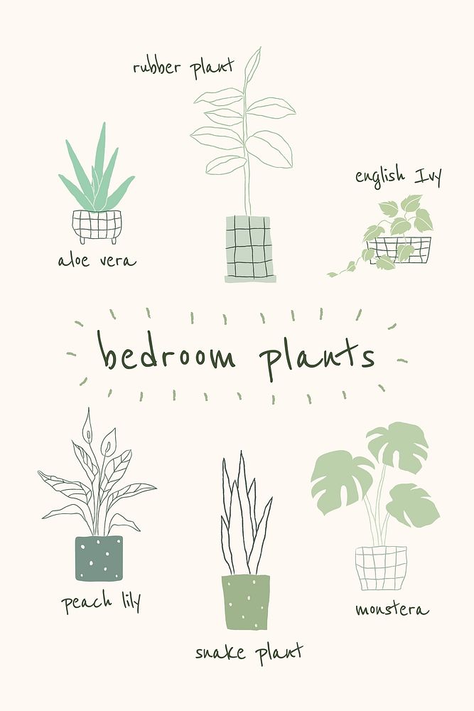 Bedroom plant guide vector template in hand drawn doodle style 