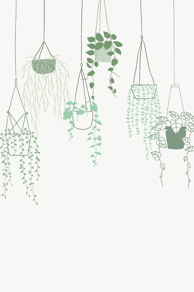 Green potted hanging plant vector background