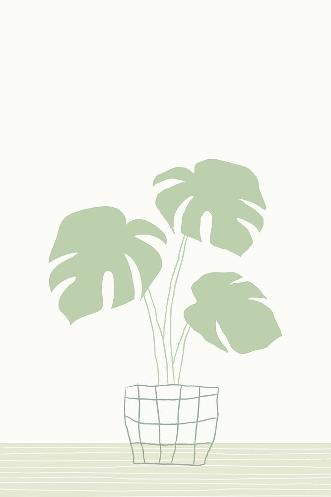 Green houseplant monstera hand drawn doodle
