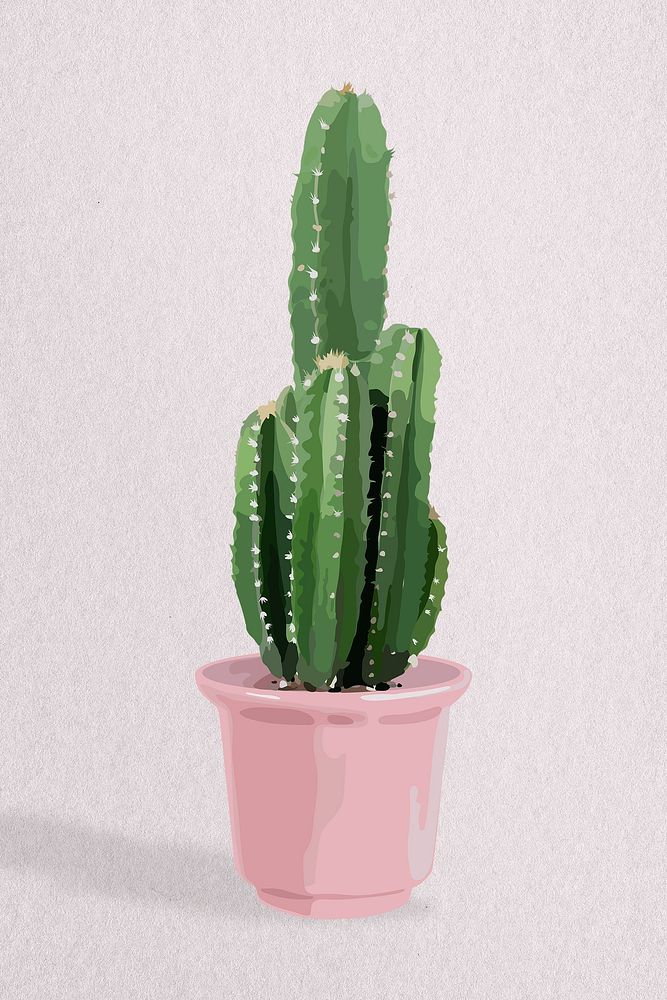 Houseplant image, cactus home decor illustration
