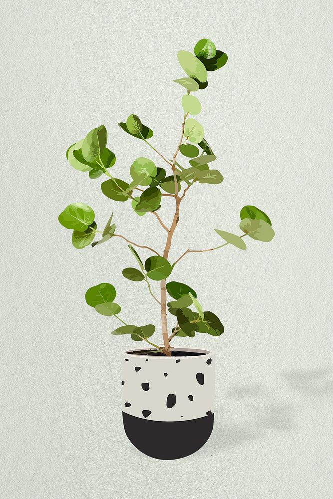 Plant image, Seagrape home decor illustration