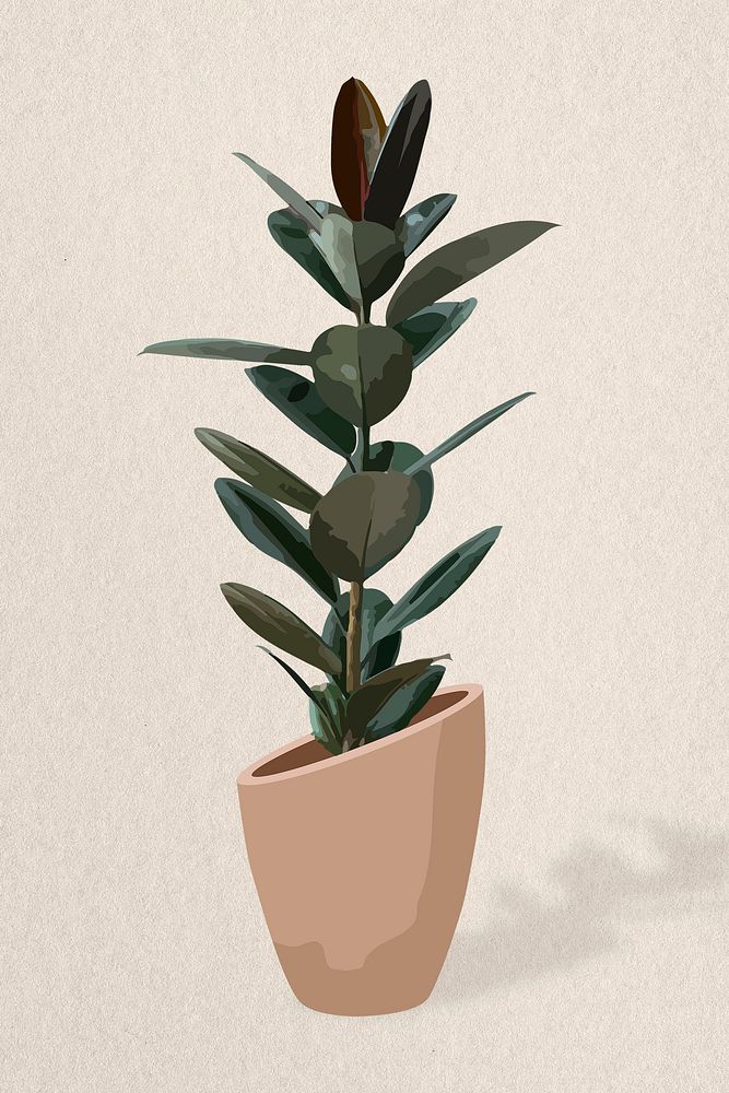 Houseplant aesthetic illustration, rubber plant potted home interior decoration