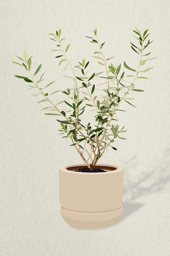 Houseplant aesthetic illustration, olive plant potted home interior decoration