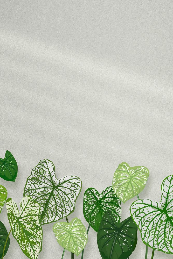 Tropical leaf iphone wallpaper background illustration 