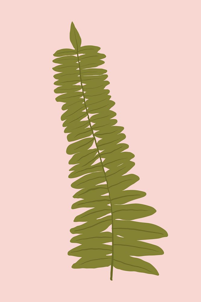 Fern leaf psd plant botanical illustration