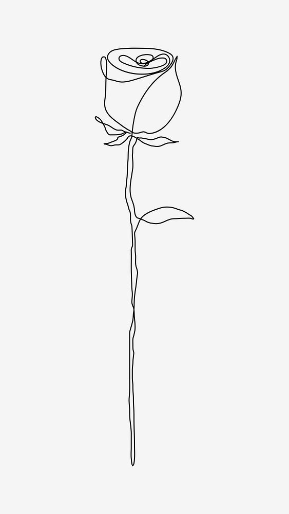 Rose flower psd line drawing