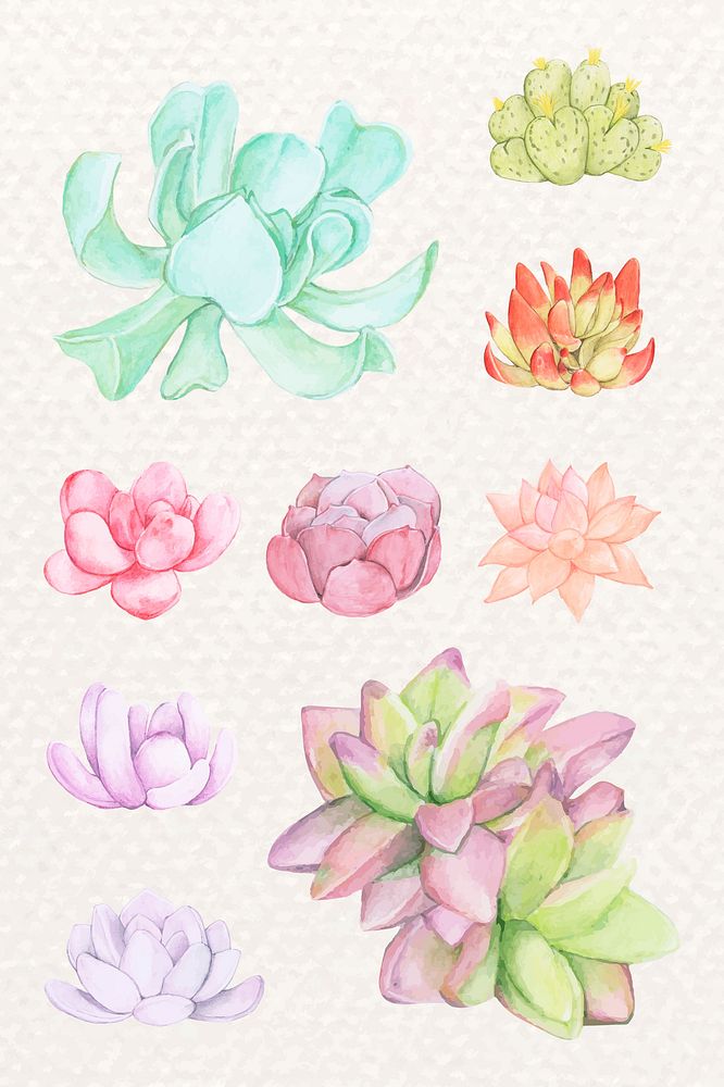 Colorful succulent psd sticker set in watercolor