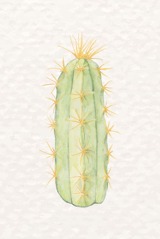 Desert cactus psd watercolor Pilosocereus azulensis 