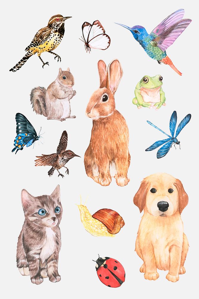 Watercolor animals and insects vector sticker set