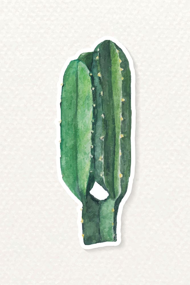 Euphorbia ingens cactus watercolor sticker vector