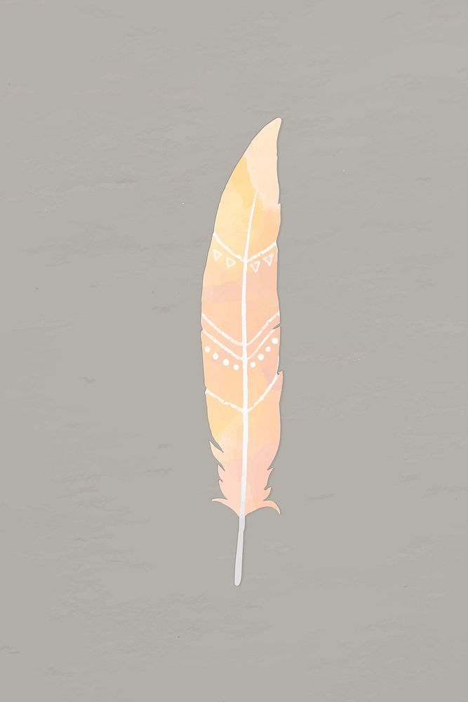Pastel feather bohemian graphic vector