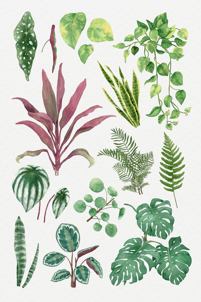 Psd watercolor botanical leaf set