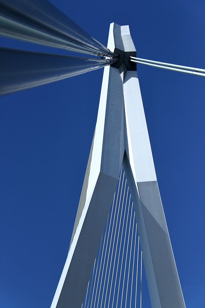 De Erasmusbrug (de 'Zwaan', 139 meter) in Rotterdam. De brug is ontworpen door architect Ben van Berkel. Original public…