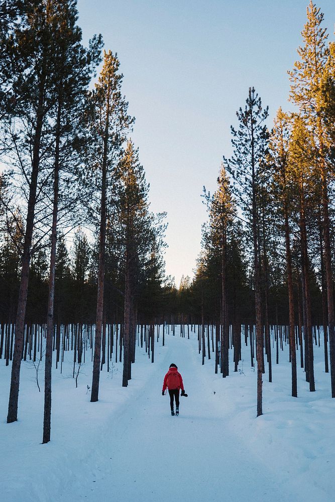 Woman snowshoeing through the woods