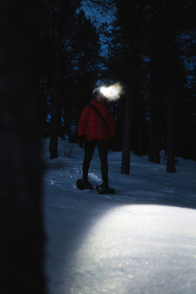 Woman with headlights exploring the woods at dusk