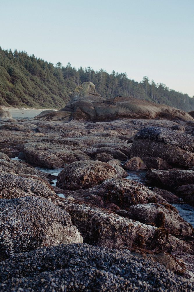 Sea rocks beach background nature photography