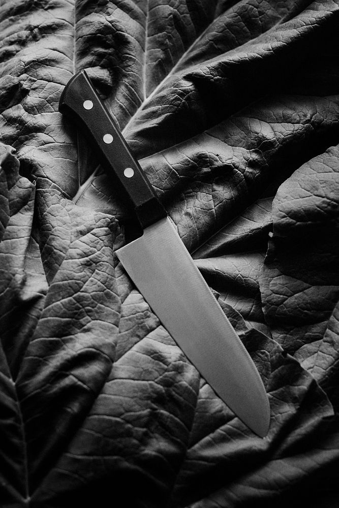 BW chef's knife on a fresh vegetable flatlay