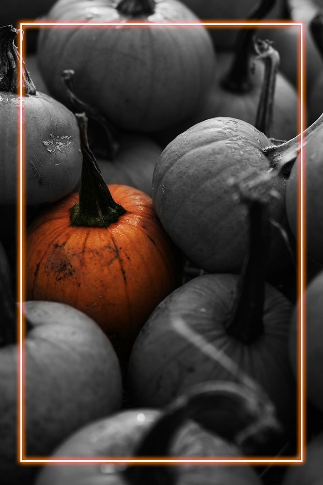 Halloween pumpkin background with neon frame