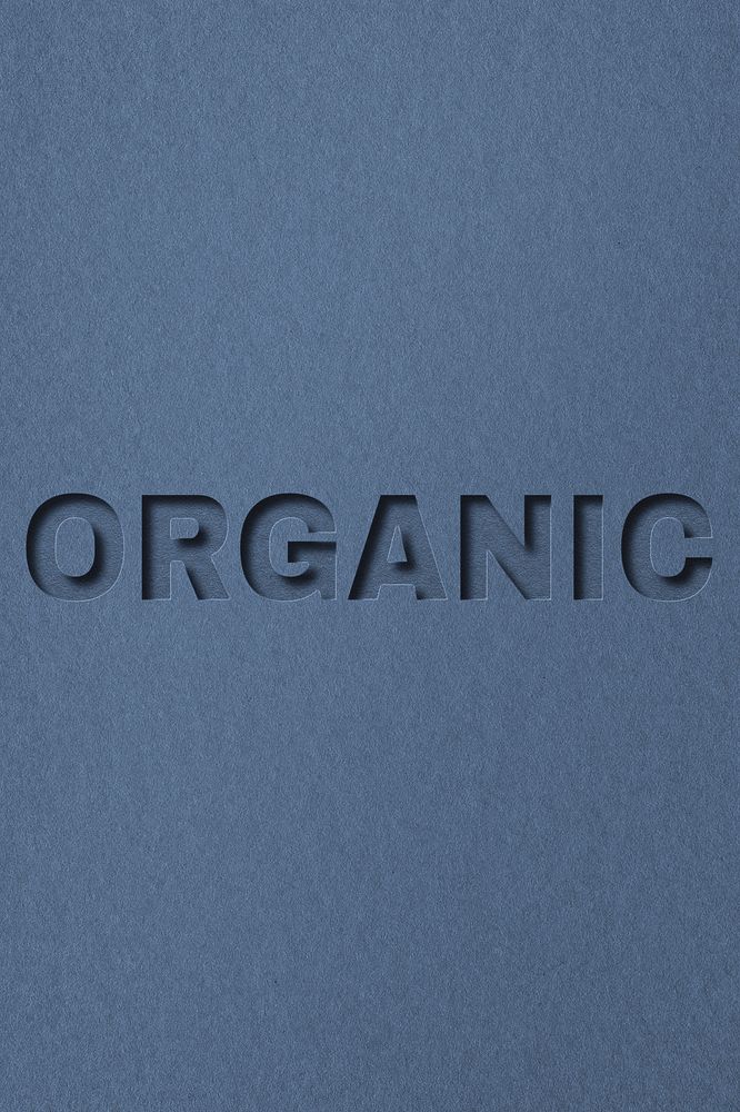 Organic lettering paper cut font typography