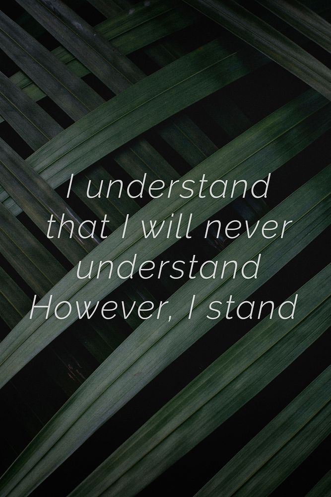 I understand that I will never understand. However, I stand quote on a palm leaves background