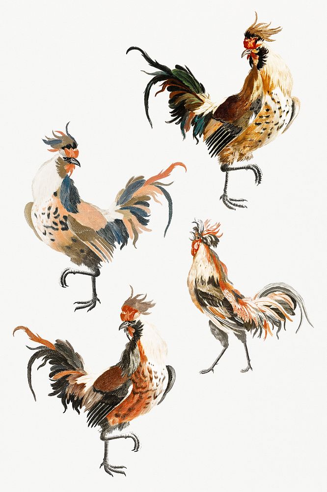Vintage chicken psd hand drawn illustration set