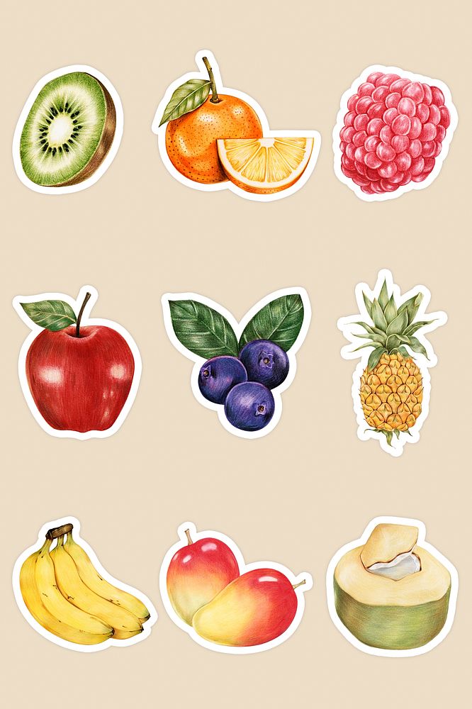 Vintage summer fruits illustration psd hand drawn mixed