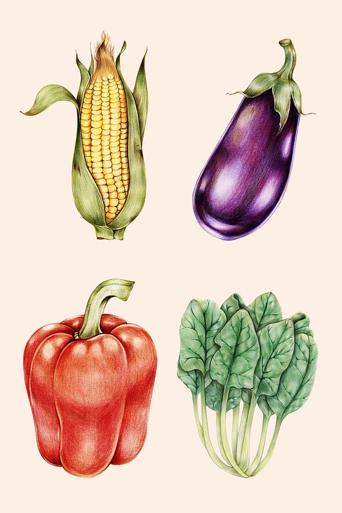 Vegetables sticker psd organic botanical illustration mixed