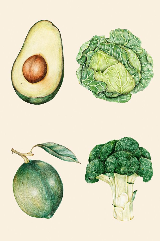 Green vegetables illustration psd organic set