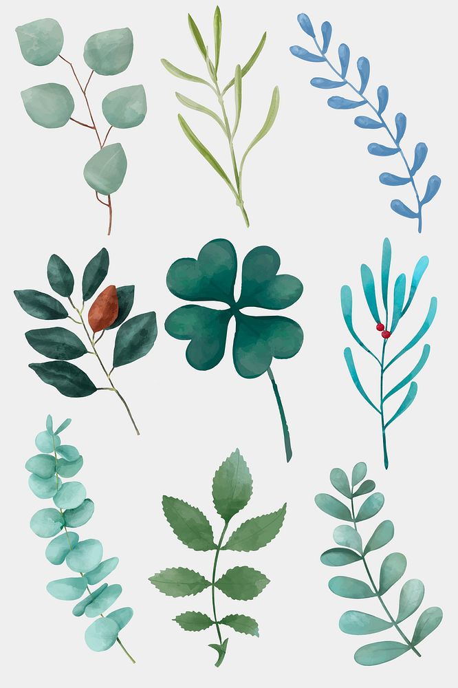 Green plants hand drawn psd illustration collection