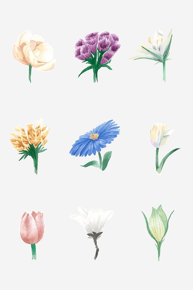 Hand drawn flowers psd colorful watercolor decorative collection