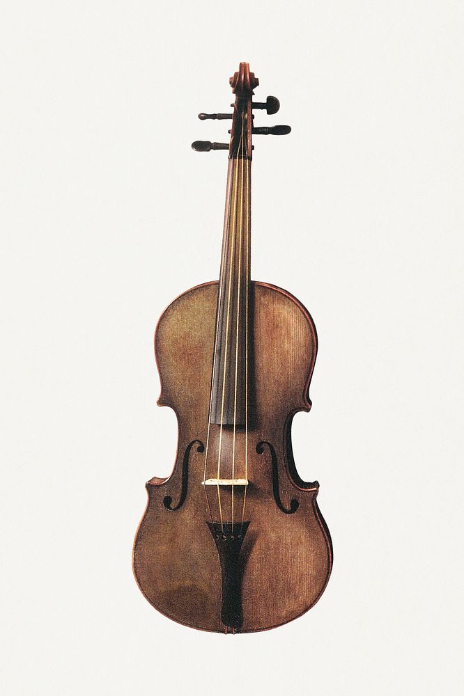 Vintage hand drawn violin illustration