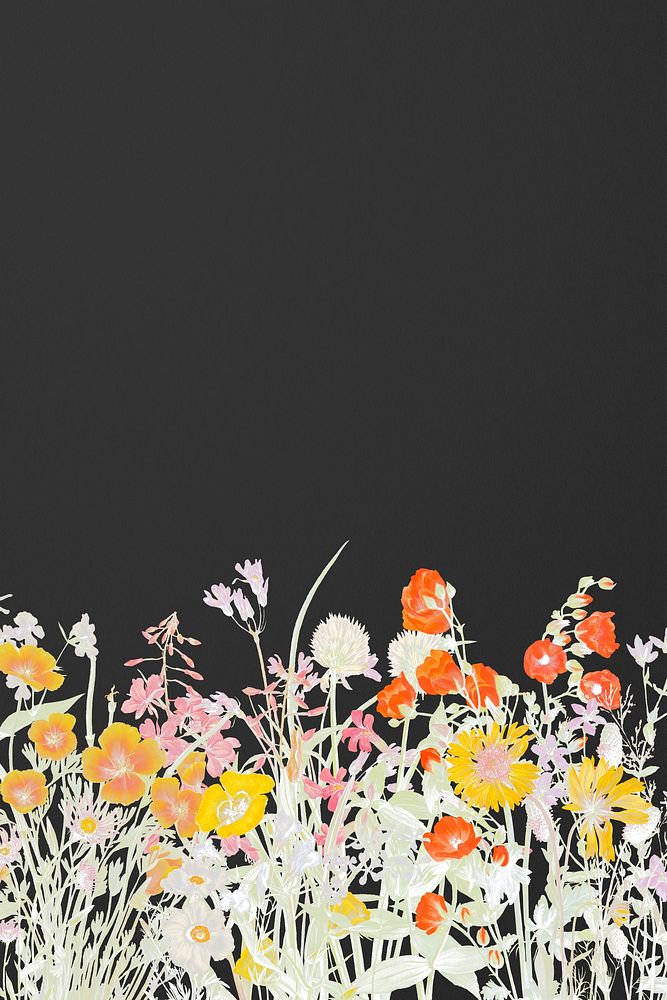 Wild colorful flower vintage black background