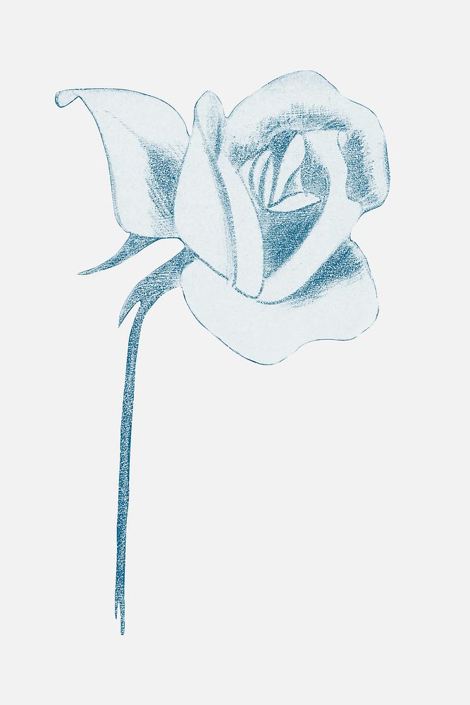 Vintage blue rose psd art print illustration, remix from artworks by Samuel Jessurun de Mesquita