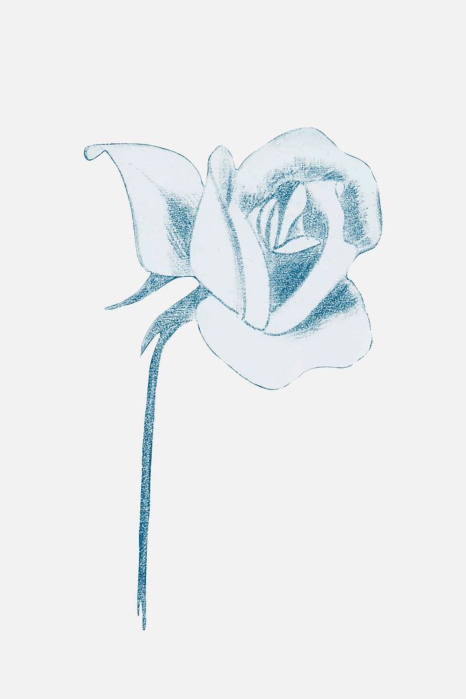 Vintage blue rose art print illustration vector, remix from artworks by Samuel Jessurun de Mesquita