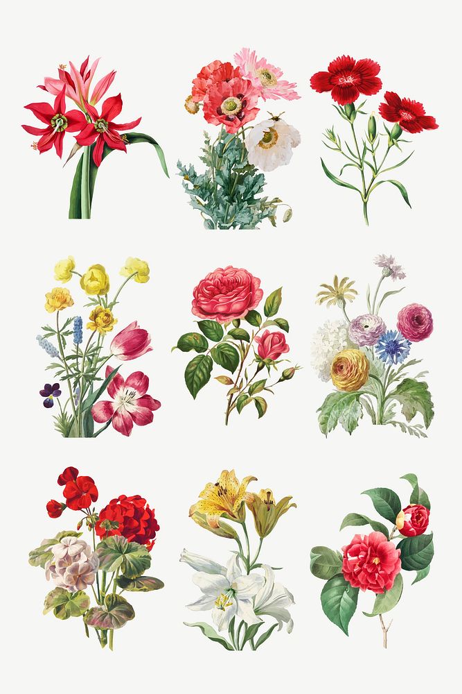 Vintage blooming flowers vector illustration set
