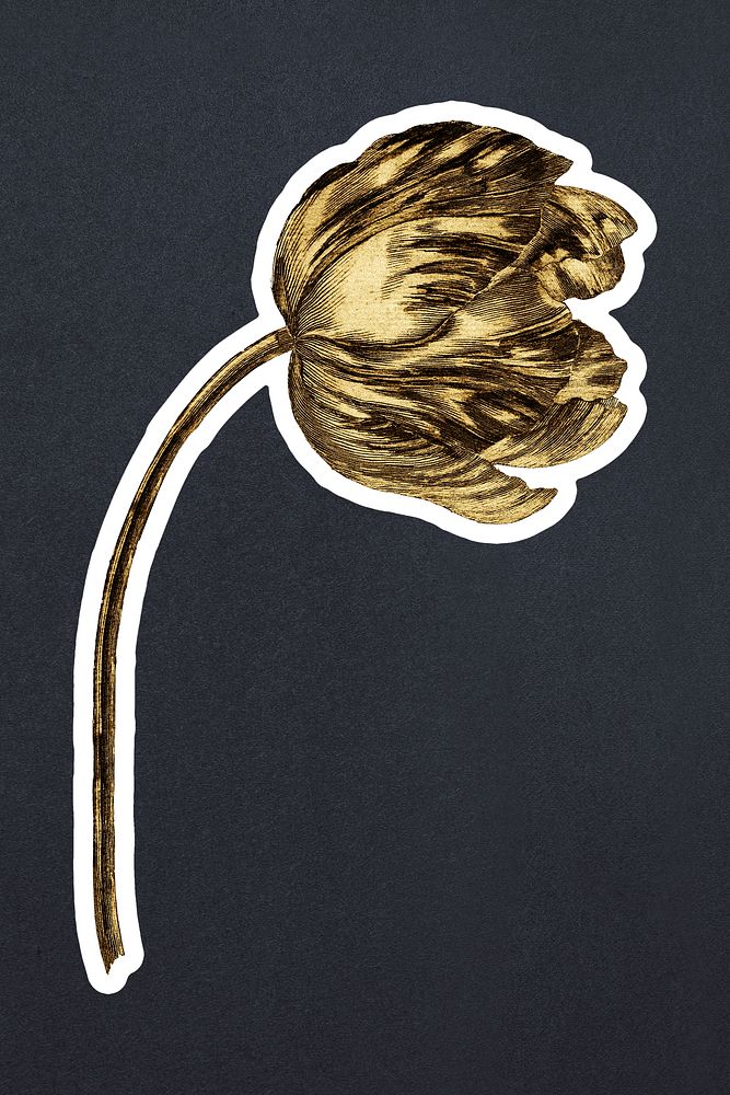 Vintage gold tulip flower sticker with white border