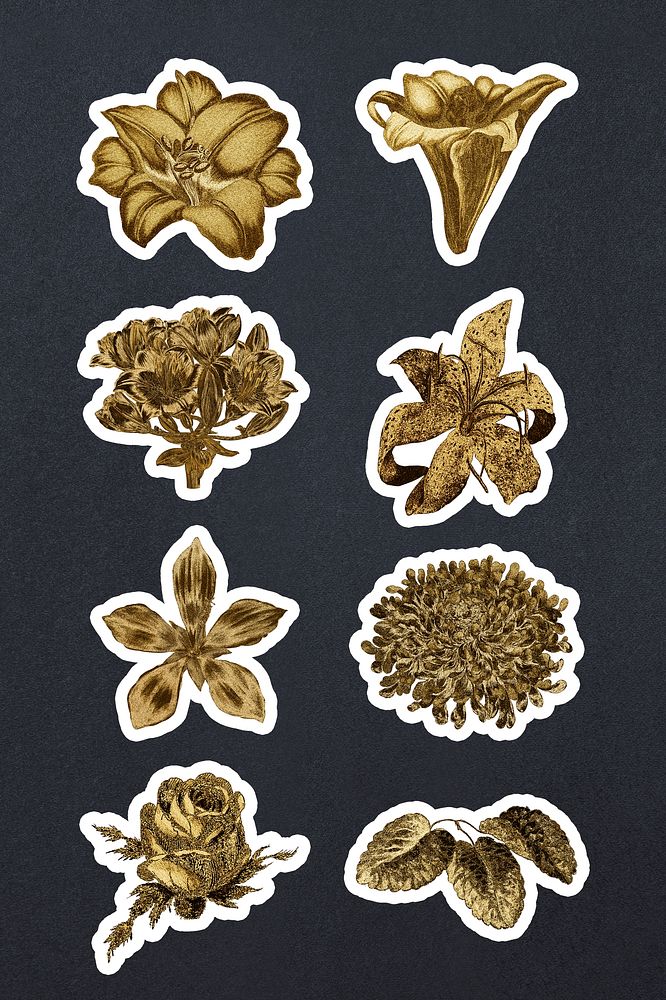 Vintage gold flower and leaf sticker set on black background