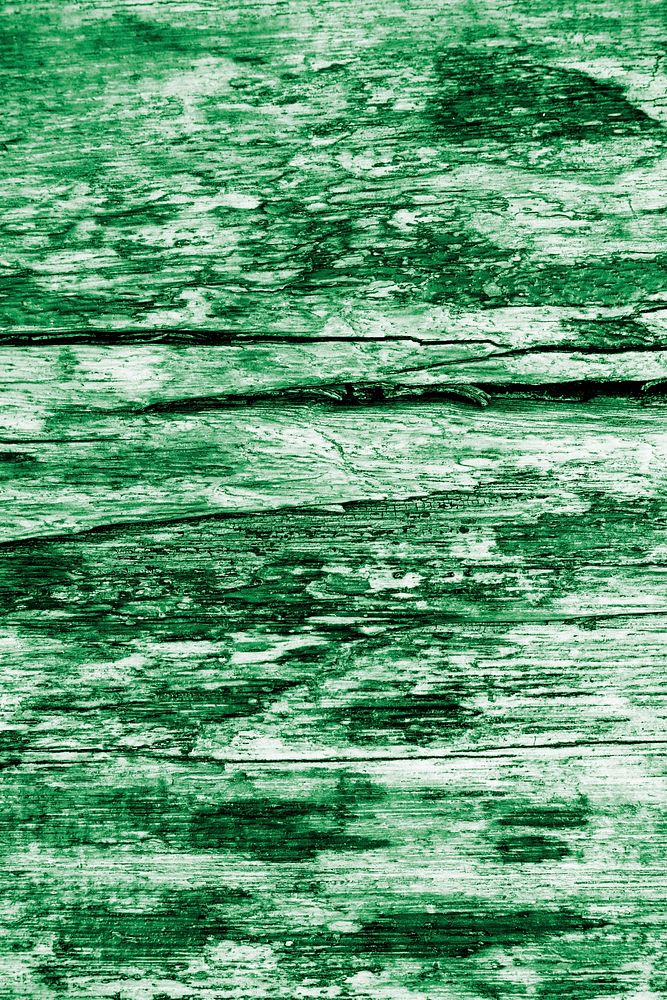 Rough dark green wood texture background