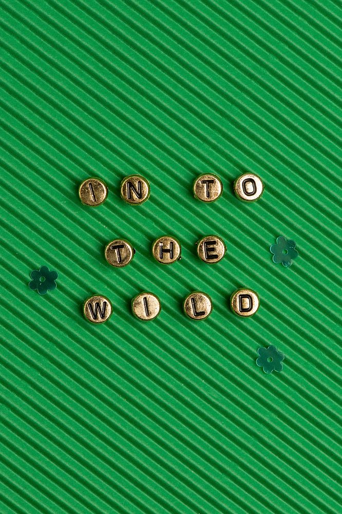 IN TO THE WILD beads word typography