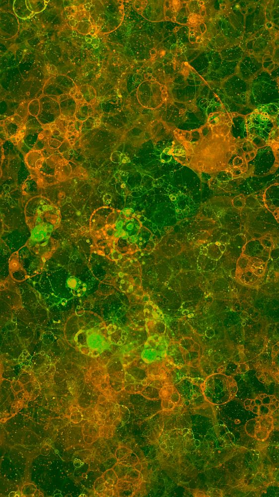 Orange and green bubble art on green background abstract style