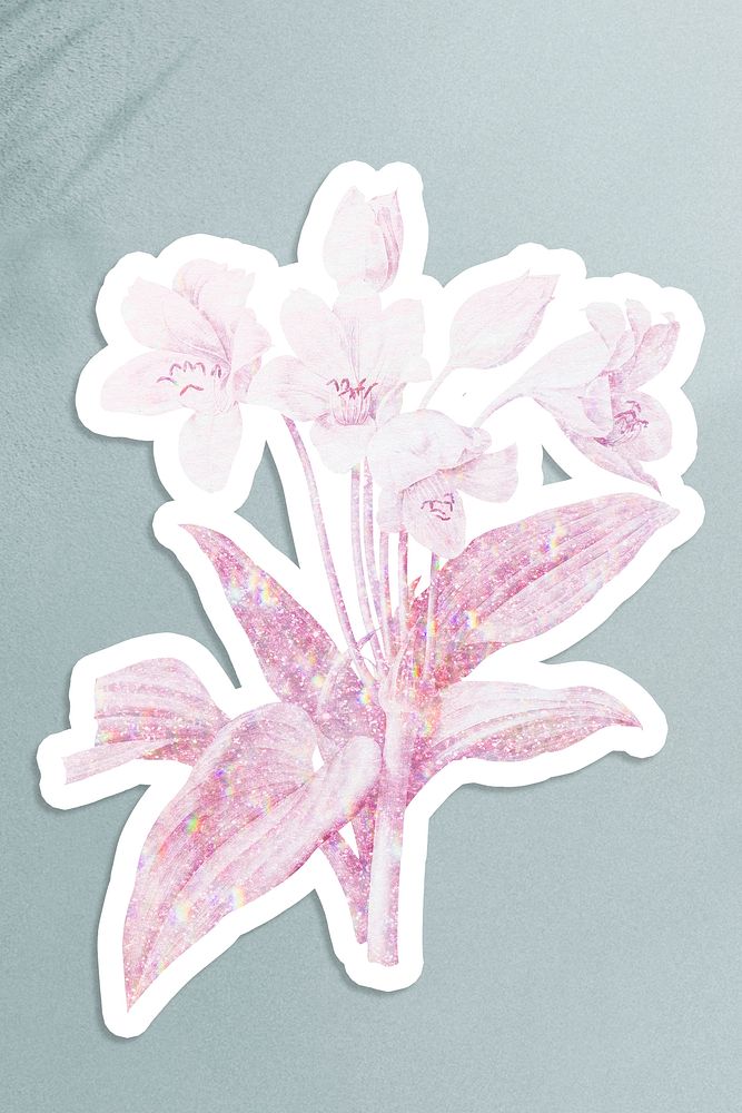 Pink holographic crinum sticker with a white border