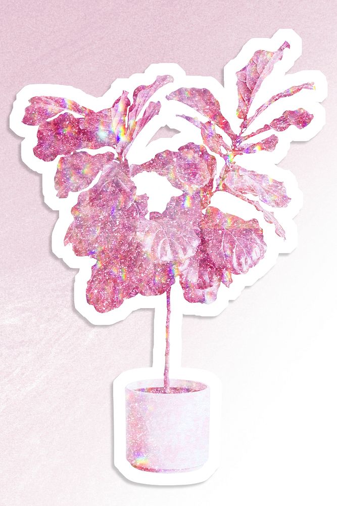 Pink holographic fiddle leaf fig tree sticker with a white border