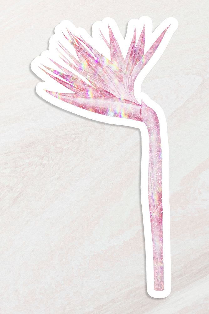 Pink holographic  bird of paradise flower sticker with a white border
