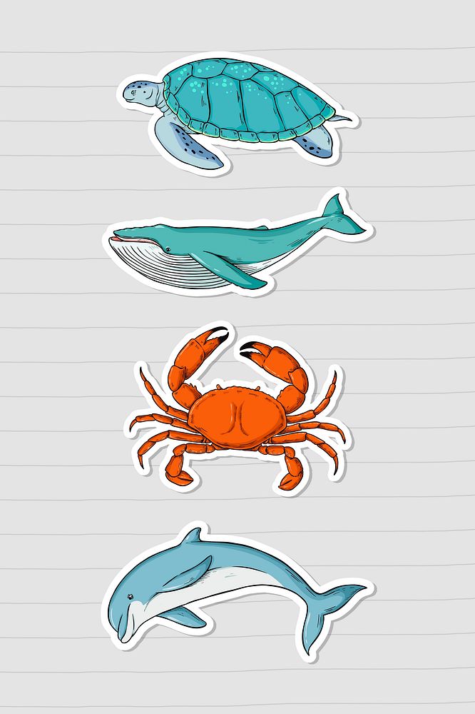 Psd sea animal sticker colorful set cartoon illustration
