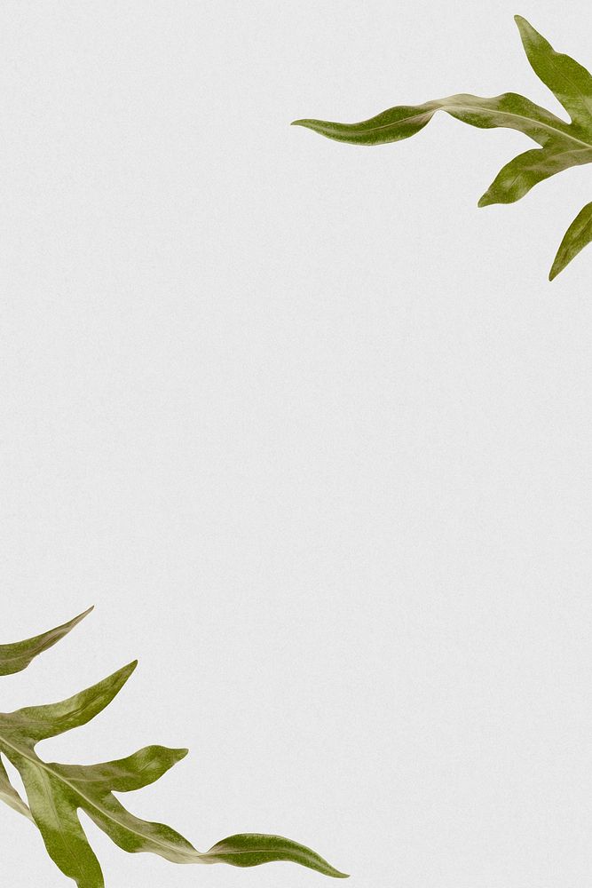 Arrowhead fern leaf border frame plain background