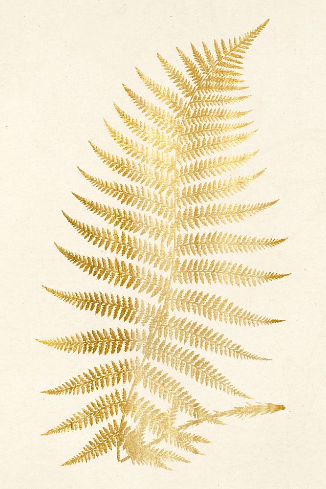 Hand drawn fern leaf gold metallic vintage sticker