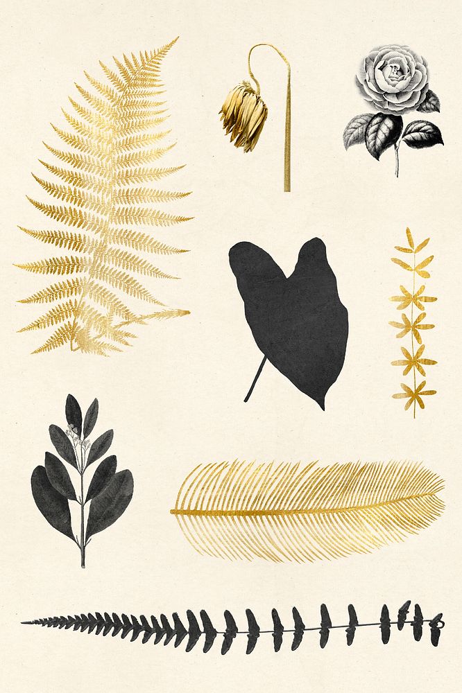 Vintage leaf flower botanical gold black illustration sticker set