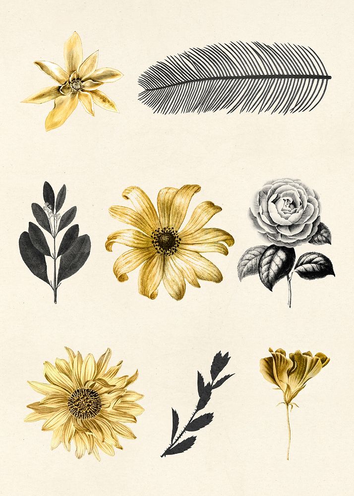Vintage leaf and flowers golden black botanical sticker collection